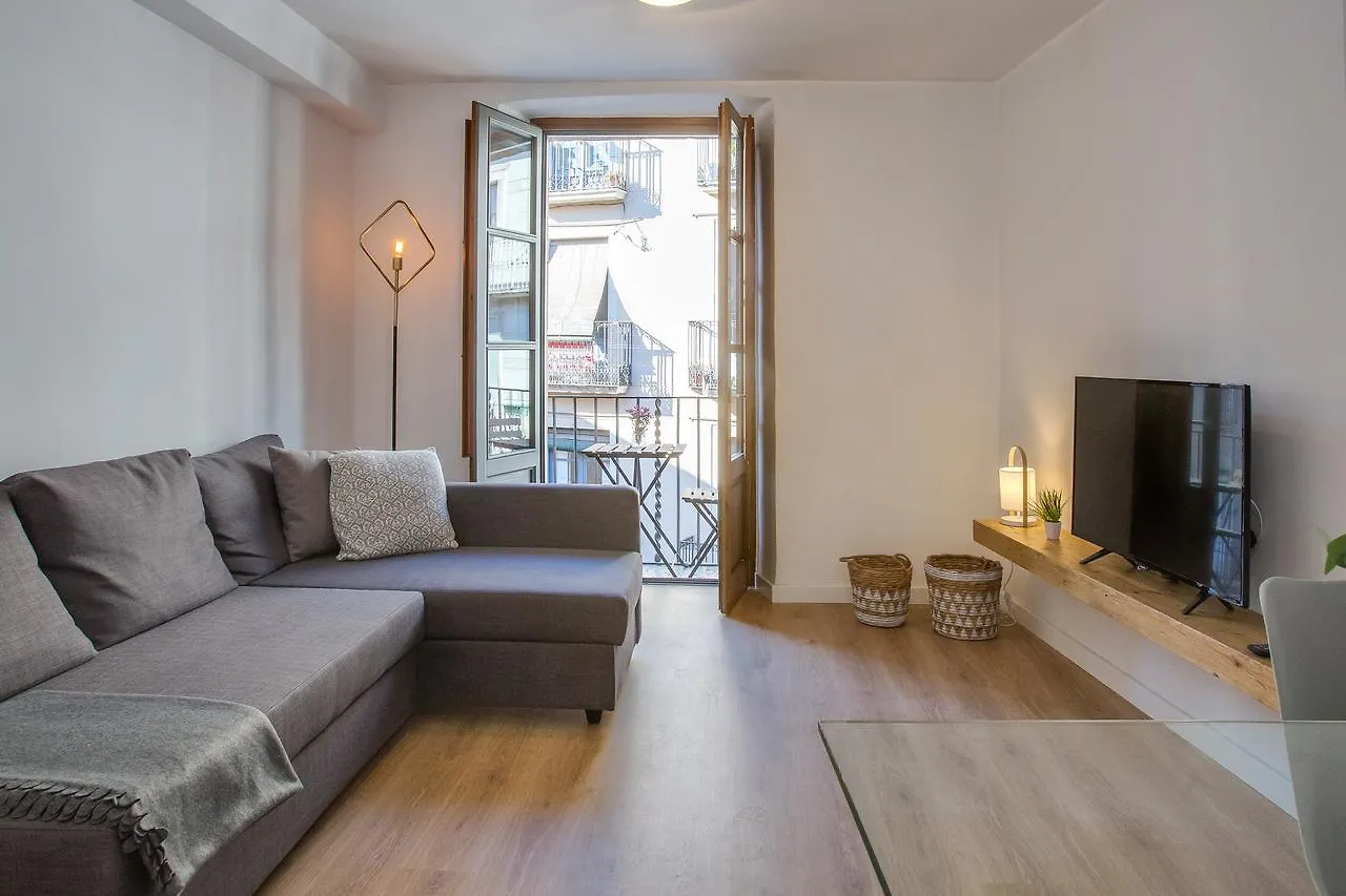 Flateli Cort Reial Apartment Girona